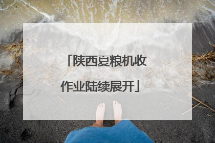 陕西夏粮机收作业陆续展开